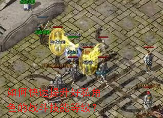 如何快速提升好私角色的战斗技能等级? 如何快速提升好私角色的战斗技能等级?