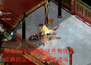 ����˽����������Щ����־�����趨���㶼֪����