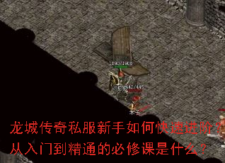 龙城传奇私服新手如何快速进阶?从入门到精通的必修课是什么? 龙城传奇私服新手如何快速进阶?从入门到精通的必修课是什么?