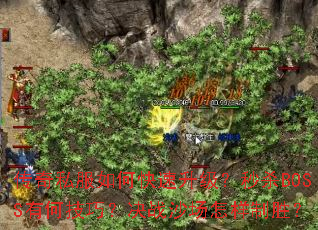 ����˽����ο�����������ɱBOSS�кμ��ɣ���սɳ��������ʤ��