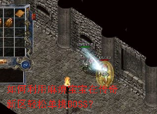 ���������Ա����ڴ����������ɵ���BOSS��