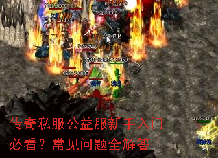 ����˽��������������űؿ�����������ȫ���