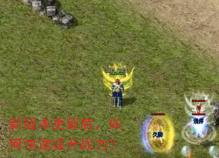 �°汾���º���ο�������ս����