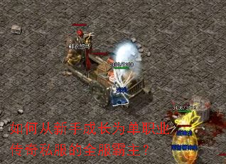 如何从新手成长为单职业传奇私服的全服霸主? 如何从新手成长为单职业传奇私服的全服霸主?