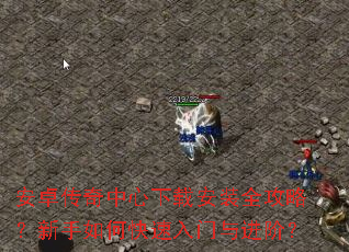 安卓传奇中心下载安装全攻略?新手如何快速入门与进阶? 安卓传奇中心下载安装全攻略?新手如何快速入门与进阶?