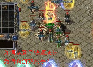 ��δ����ֿ��ٳɳ�Ϊ������Ϸ���֣�