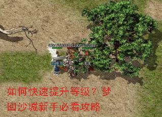 ��ο��������ȼ����λ�ɳ�����ֱؿ�����