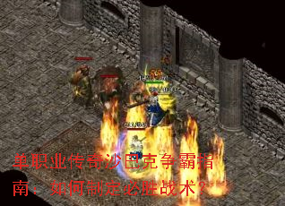 ��ְҵ����ɳ�Ϳ�����ָ�ϣ�����ƶ���ʤս����