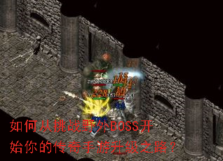 ��δ���սҰ��BOSS��ʼ��Ĵ�����������֮·��