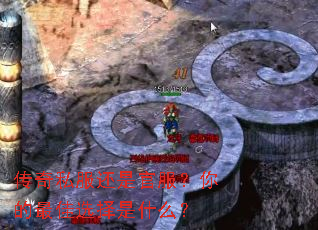 ����˽�����ǹٷ���������ѡ����ʲô��