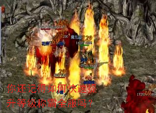 你还记得如何快速提升等级称霸全服吗? 你还记得如何快速提升等级称霸全服吗?