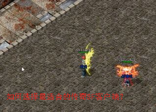 ���ѡ�����ʺϵĴ���SF�ͻ��ˣ�