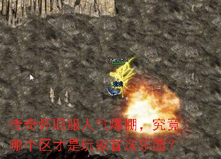 ���滳�ɷ�������������ĸ������������ѡ��԰��