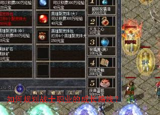 ��ι滮սʿְҵ�ĳɳ�·�ߣ�