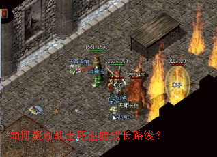 ��ι滮սʿְҵ�ĳɳ�·�ߣ�