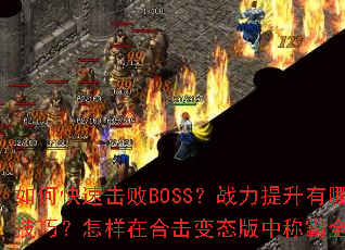 ��ο��ٻ���BOSS��ս����������Щ���ɣ������ںϻ���̬���гư�ȫ����