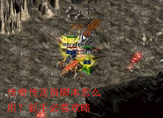 ���洫��Ա�ű���ô�ã����ֱؿ�����