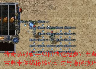 ����˽��������ο����𲽣����𱦵������غ����淨�����ؼ���