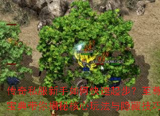 ����˽��������ο����𲽣����𱦵������غ����淨�����ؼ���