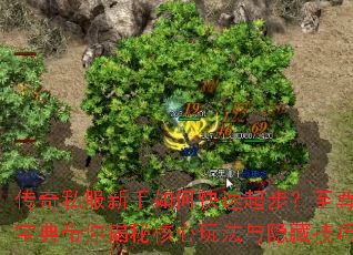 ����˽��������ο����𲽣����𱦵������غ����淨�����ؼ���