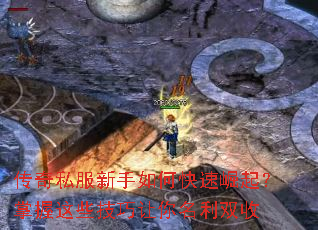 ����˽��������ο�������������Щ������������˫��