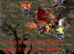 ����˽��������ο�������������Щ������������˫��