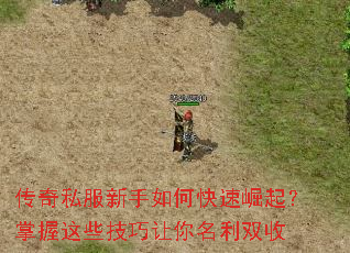 ����˽��������ο�������������Щ������������˫��