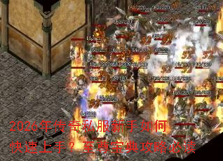 2026�괫��˽��������ο������֣����𱦵乥�Աض�