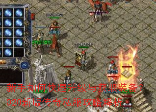 ������ο����������ȡװ����020�°洫��˽�����Խ���