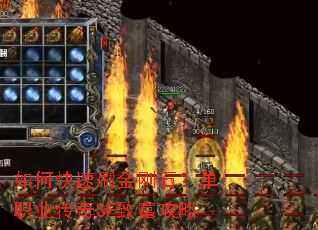 ��ο���ˢ���ʯ����ְҵ����SF�¸�����