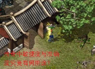 ���������ݶ���׼ȷ�Ⱦ����к���;��