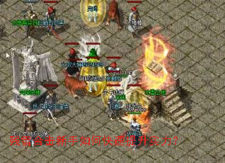 ��ѩ�ϻ�������ο�������ʵ����