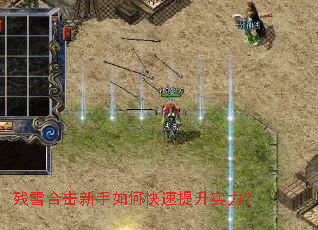 ��ѩ�ϻ�������ο�������ʵ����