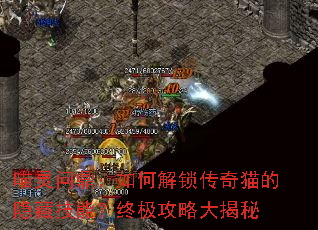 �����ʶ�����ν�������è�����ؼ��ܣ��ռ����Դ����