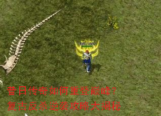 ���մ�������ص��۷壿���ŷ�ɱ��Ϯ���Դ����