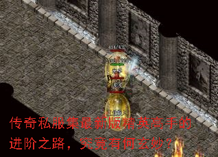 ����˽�������°澫Ӣ���ֵĽ���֮·�������к����