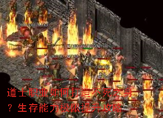 ��ʿְҵ��δ��첻��֮������������������������