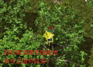 ���������Щ���ص�ˢ�ֵ�ֵ��̽����