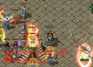 ��λ��ܴ������˻�ͨ˽���е�����BOSS��