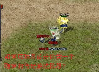 如何成功开设并运营一个稳定的传奇游戏私服? 如何成功开设并运营一个稳定的传奇游戏私服?