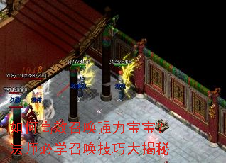 ��θ�Ч�ٻ�ǿ����������ʦ��ѧ�ٻ����ɴ����