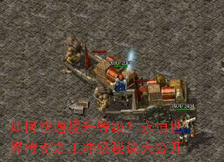 如何快速提升等级?永恒世界传奇之王冲级秘诀大公开 如何快速提升等级?永恒世界传奇之王冲级秘诀大公开