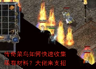 传奇菜鸟如何快速收集稀有材料?大佬来支招 传奇菜鸟如何快速收集稀有材料?大佬来支招