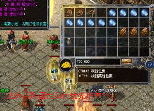 法师后期属性如何优先培养? 法师后期属性如何优先培养?