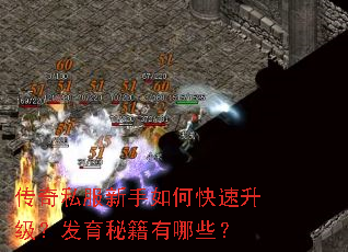 传奇私服新手如何快速升级?发育秘籍有哪些? 传奇私服新手如何快速升级?发育秘籍有哪些?