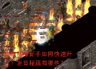传奇私服新手如何快速升级?发育秘籍有哪些? 传奇私服新手如何快速升级?发育秘籍有哪些?
