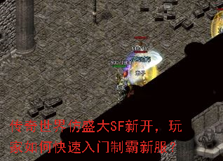 传奇世界仿盛大SF新开,玩家如何快速入门制霸新服? 传奇世界仿盛大SF新开,玩家如何快速入门制霸新服?