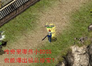 传奇里哪些小BOSS也能爆出极品珍宝? 传奇里哪些小BOSS也能爆出极品珍宝?