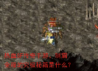 ��ѪSF�������Σ��ư�ȫ���ľ����ؼ���ʲô��
