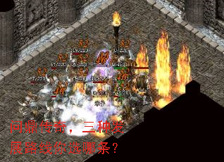 �ʶ����棬���ַ�չ·����ѡ������